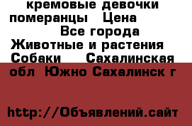 кремовые девочки померанцы › Цена ­ 30 000 - Все города Животные и растения » Собаки   . Сахалинская обл.,Южно-Сахалинск г.